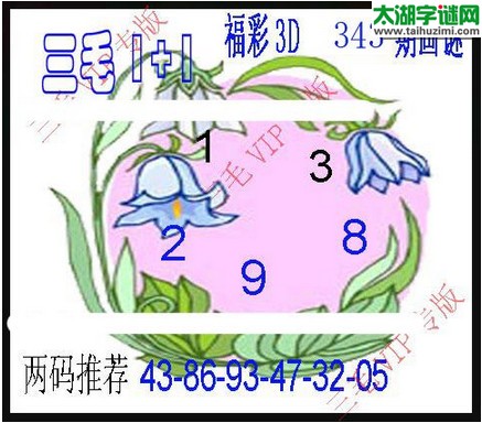 3d343期：3d三毛图库总汇