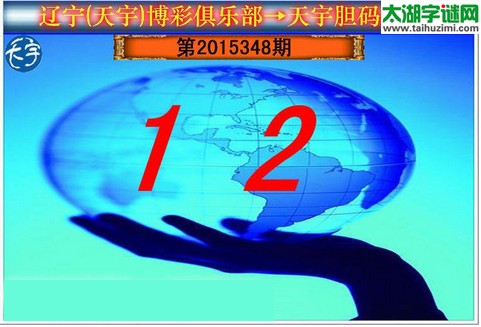 天宇图谜第2015348期胆码图