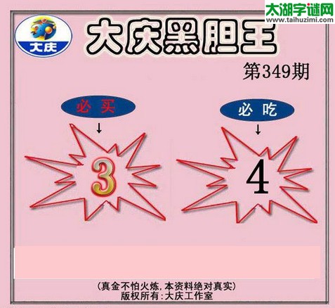 3d349期：大庆黑胆王图迷