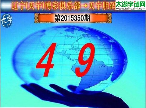 天宇图谜第2015350期胆码图