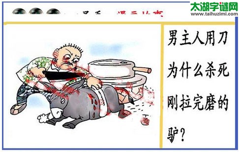 黑圣手漫画故事图谜第15355期