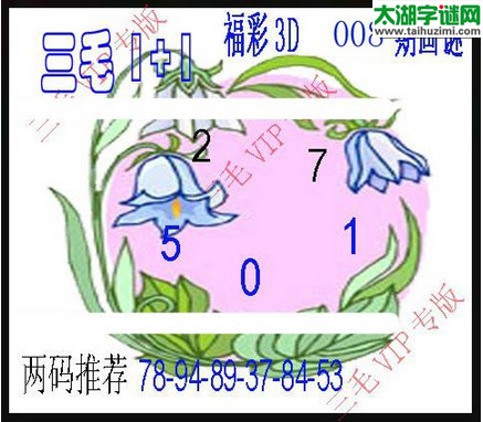 3d008期：3d三毛图库总汇