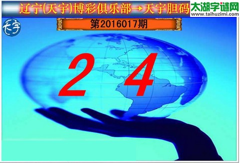 天宇图谜第2016017期胆码图