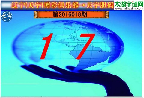 天宇图谜第2016018期胆码图