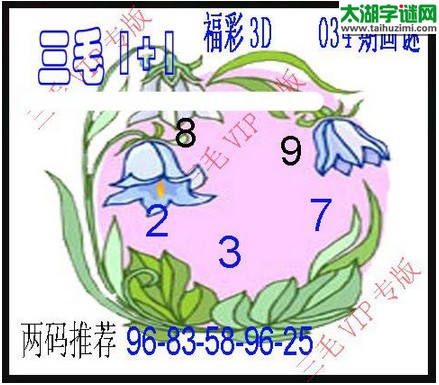 3d034期：3d三毛图库总汇