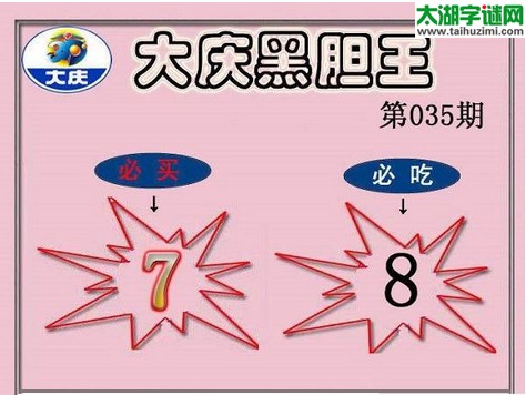 3d035期：大庆黑胆王图迷