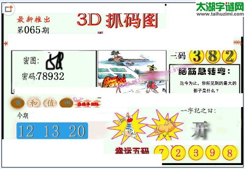 3d065期：红五图库（藏宝抓码图）