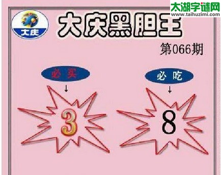 3d066期：大庆黑胆王图迷