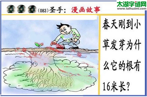 黑圣手漫画故事图谜第16083期