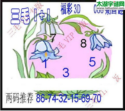 3d088期：3d三毛图库汇总