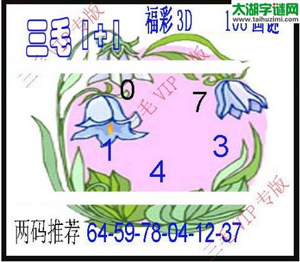 3d108期：3d三毛图库汇总