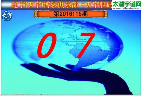 天宇图谜第2016115期胆码图