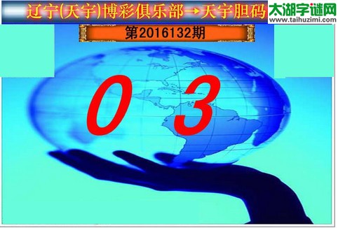 天宇图谜第2016132期胆码图