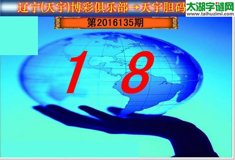 天宇图谜第2016135期胆码图