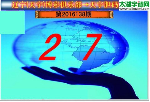 天宇图谜第2016138期胆码图