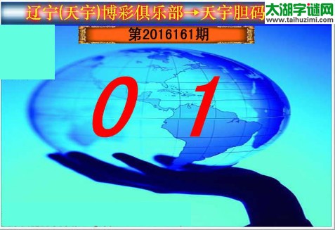 天宇图谜第2016161期胆码图