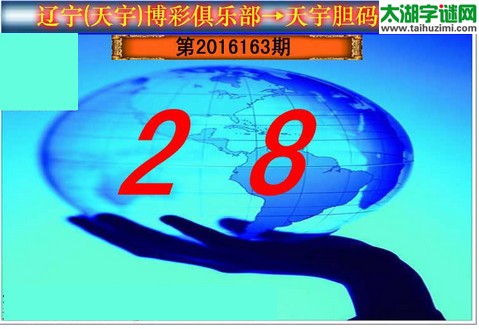 天宇图谜第2016163期胆码图