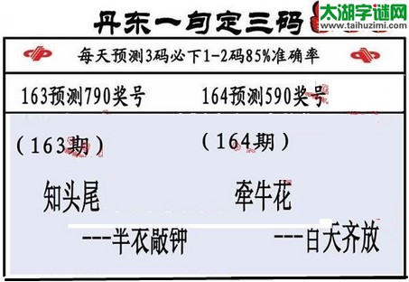 3d第2016164期丹东一句定三码