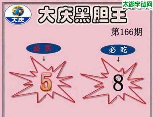 3d166期：大庆黑胆王图迷