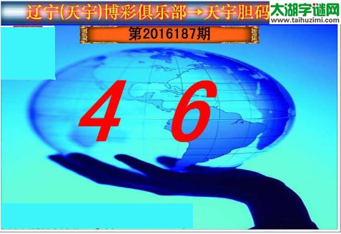 天宇图谜第2016187期胆码图