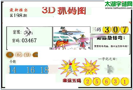 3d198期：红五图库（幸运五码）