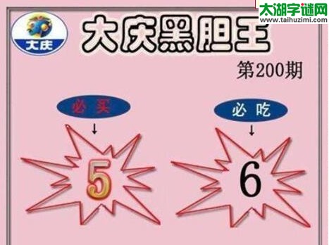 3d200期：大庆黑胆王图迷