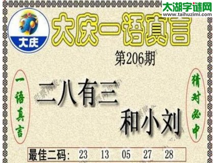 3d206期：大庆黑胆王图迷