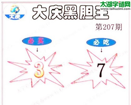 3d207期：大庆黑胆王图迷