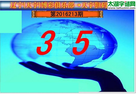 天宇图谜第2016213期胆码图