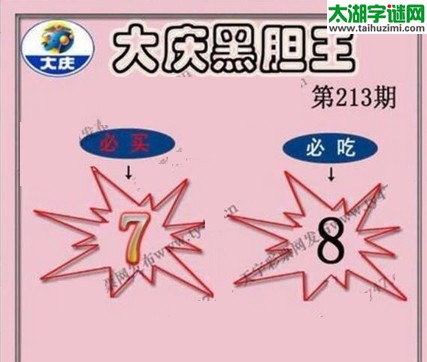 3d213期：大庆黑胆王图迷