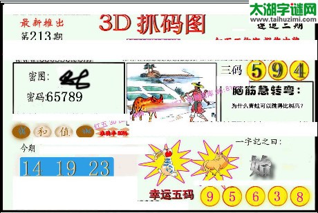 3d213期：红五图库（幸运五码）