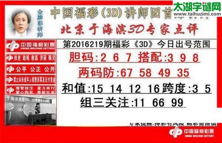 于海滨专家点评16219期