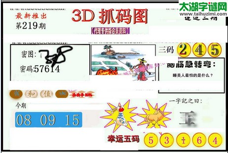 3d219期：红五图库（幸运五码）