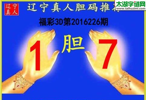 辽宁真人胆码图16226期