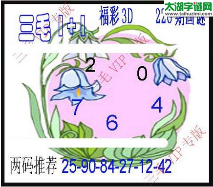 3d226期：3d三毛图库汇总