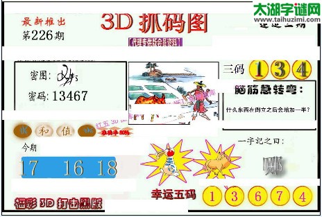 3d226期：红五图库（幸运五码）