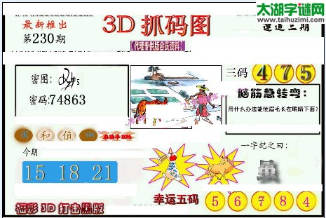 3d230期：红五图库（幸运五码）