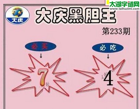 大庆黑胆王图16233期