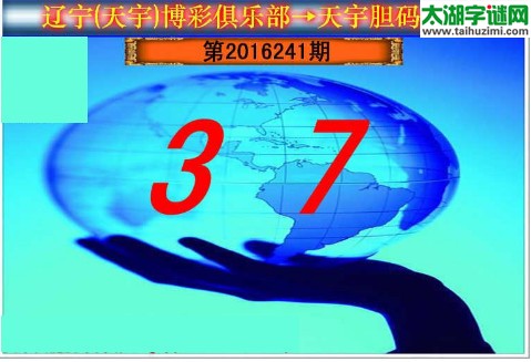 天宇图谜第2016241期胆码图