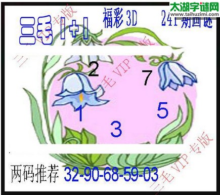 3d241期：3d三毛图库汇总