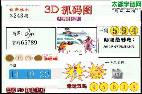 3d243期：红五图库（幸运五码）