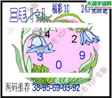 3d245期：3d三毛图库汇总