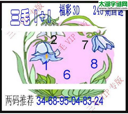 3d246期：3d三毛图库汇总