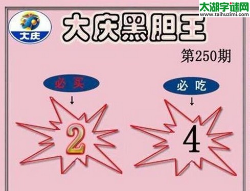 大庆黑胆王图16250期