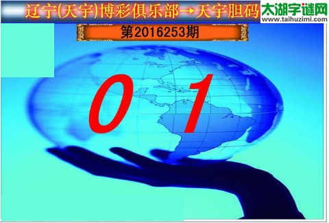 天宇图谜第2016253期胆码图