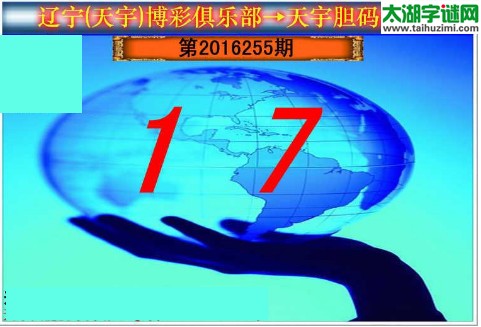 天宇图谜第2016255期胆码图