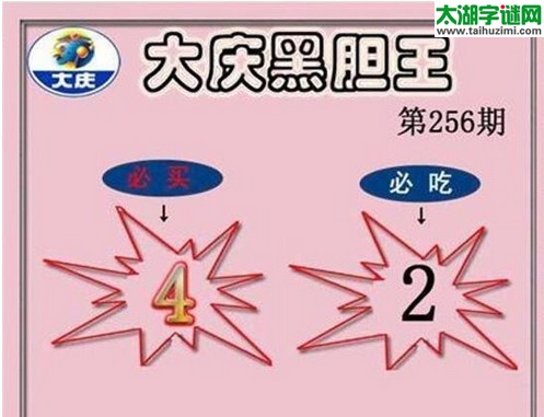 大庆黑胆王图16256期