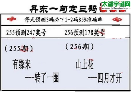 3d第2016256期丹东一句定三码