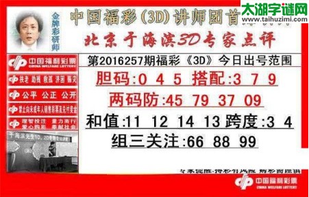 于海滨专家点评16257期