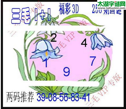 3d258期：3d三毛图库汇总